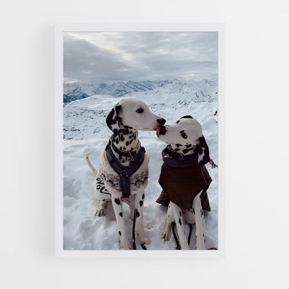 ap-dalmatian-3 cadre Blanc