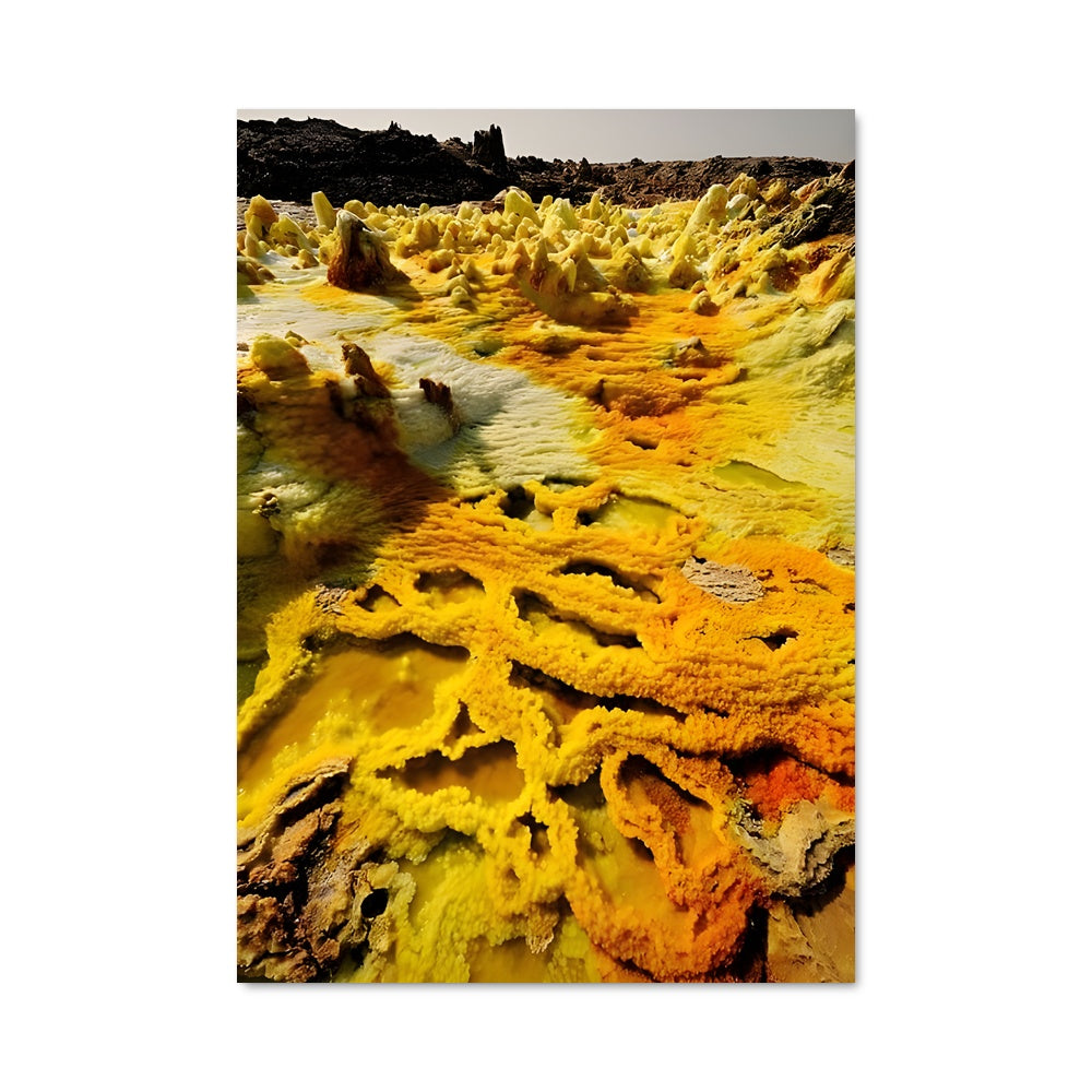 Poster Algue Éclatante