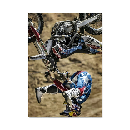 Poster Saut Élyséen