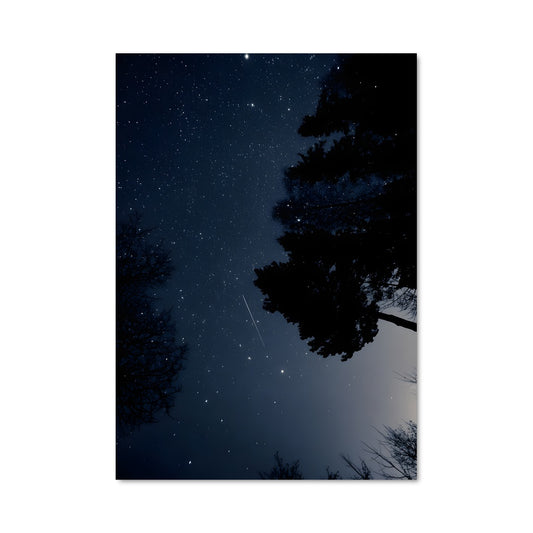 Poster Dark sky 97188