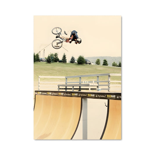 Poster Air Dave