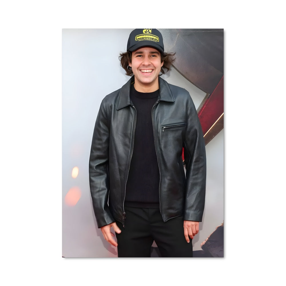 Poster David dobrik 10284