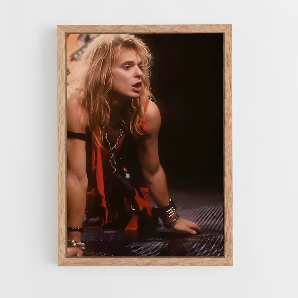 ap-david lee roth-1 cadre Bois clair