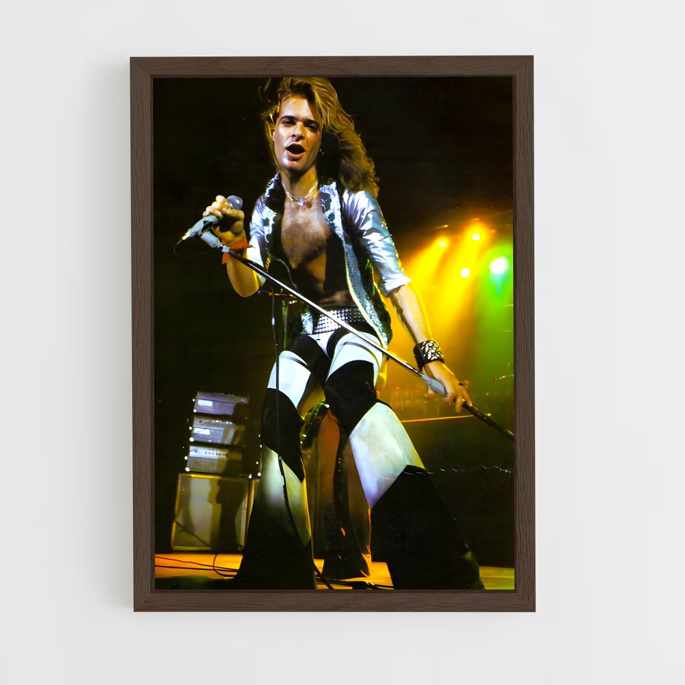 ap-david lee roth-4 cadre Bois foncé