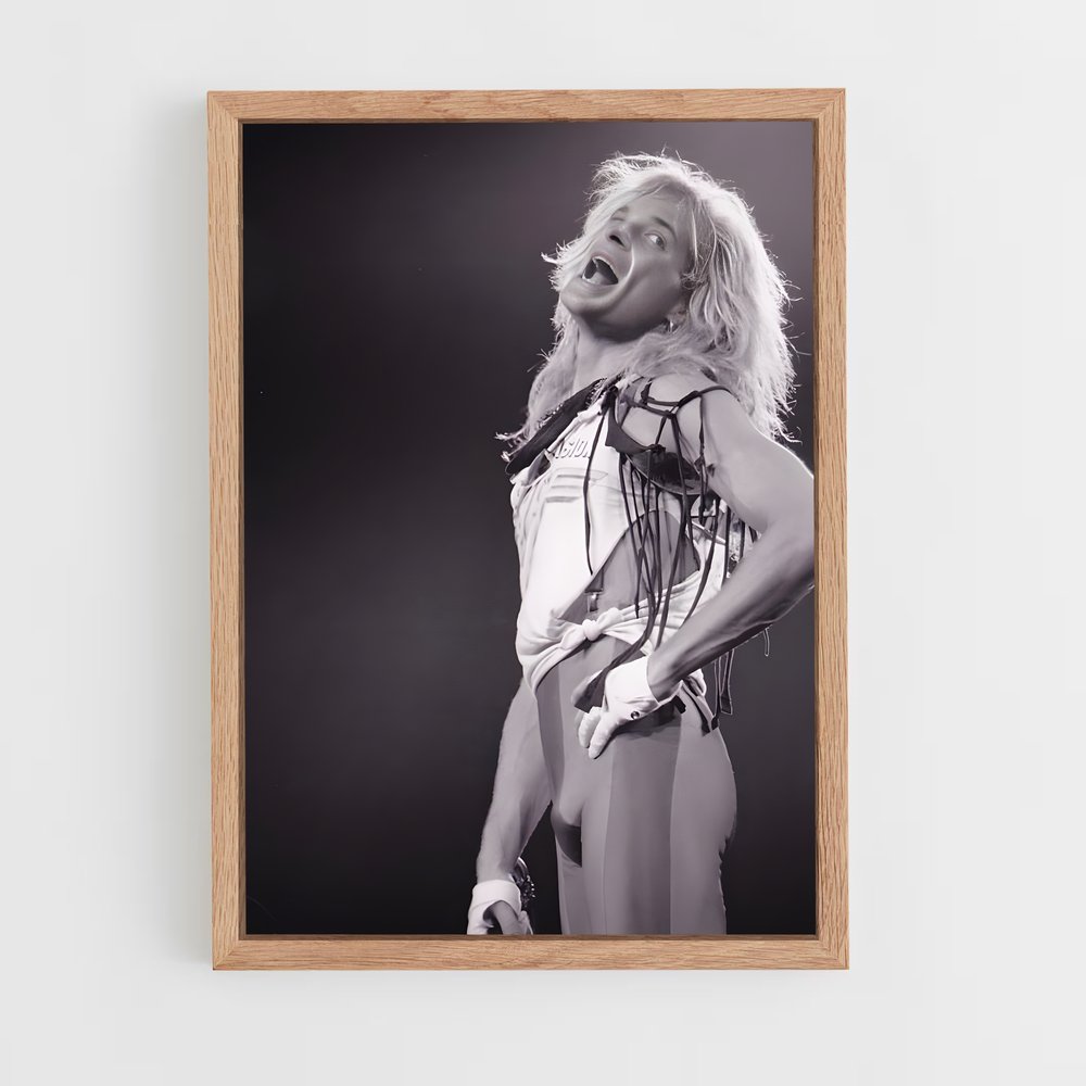 ap-david lee roth-5 cadre Bois clair