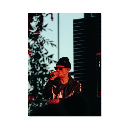 Poster Dealema 53335