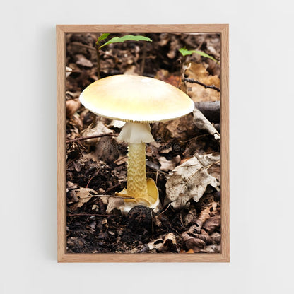 ap-death cap-1 cadre Bois clair