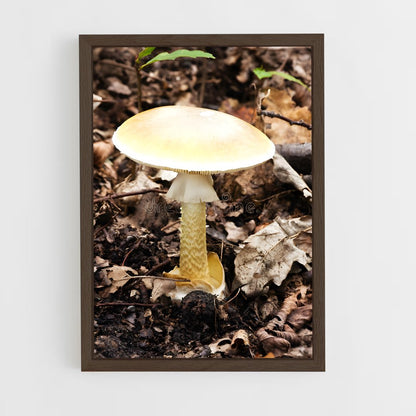 ap-death cap-1 cadre Bois foncé