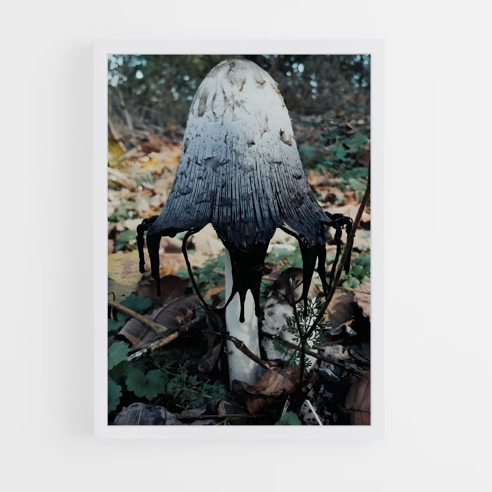 ap-death cap-3 cadre Blanc