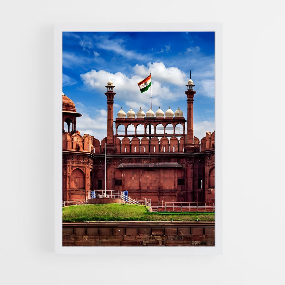 ap-delhi flag-1 cadre Blanc