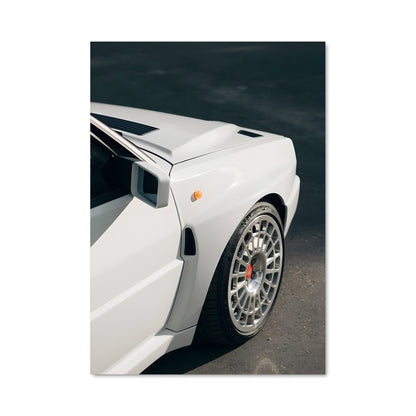 Poster Delta Blanc