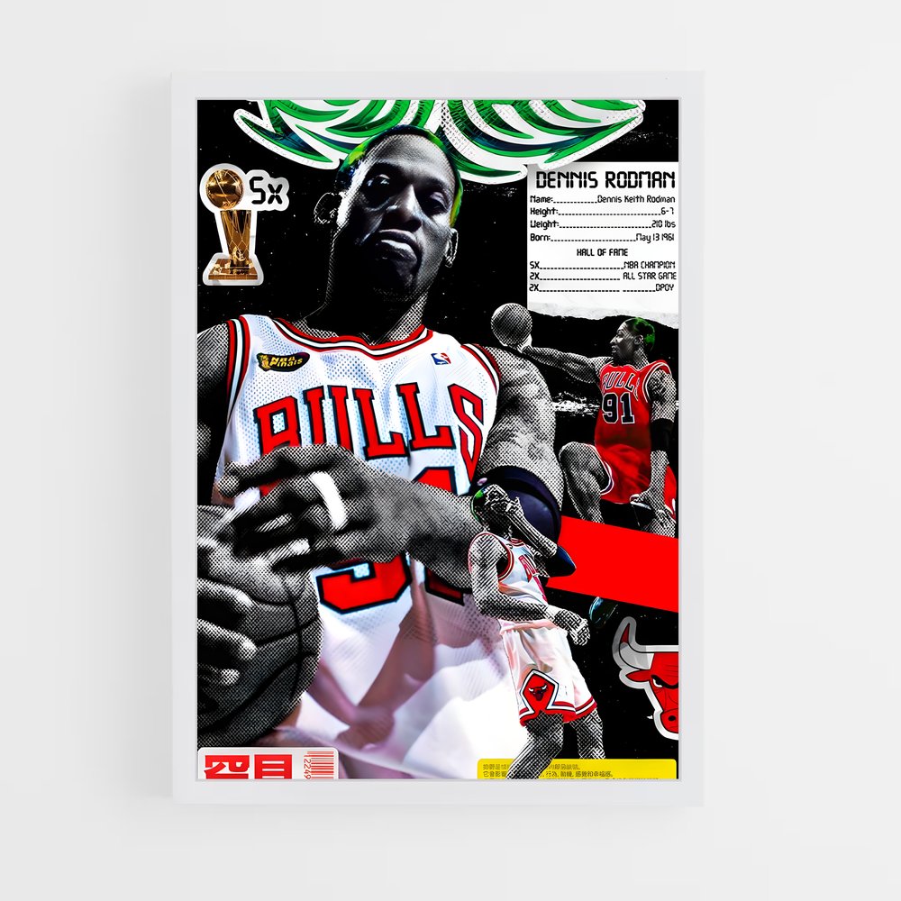 ap-dennis rodman-2 cadre Blanc