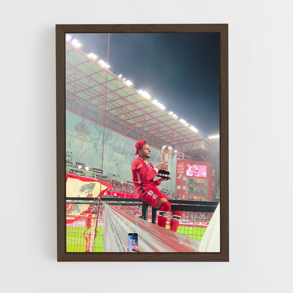 ap-deportivo toluca fc-10 cadre Bois foncé