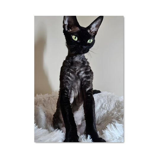 Poster Minuit Mystique