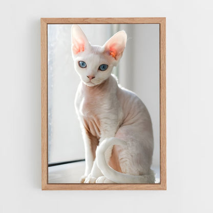 ap-devon rex-2 cadre Bois clair