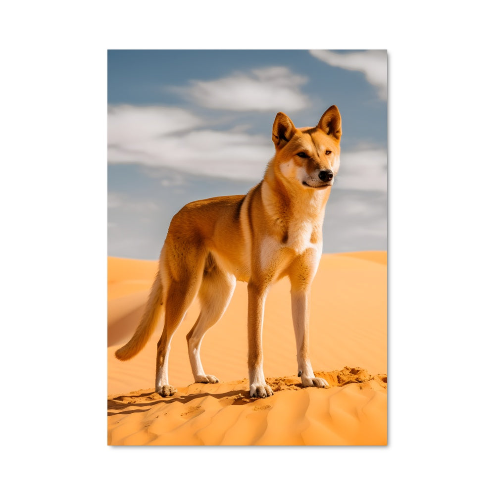 Poster Sable et Compagnie