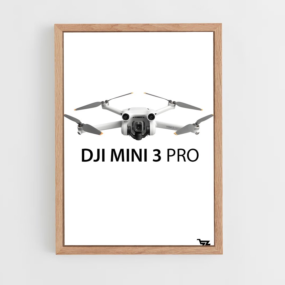 ap-dji inspire-2 cadre Bois clair