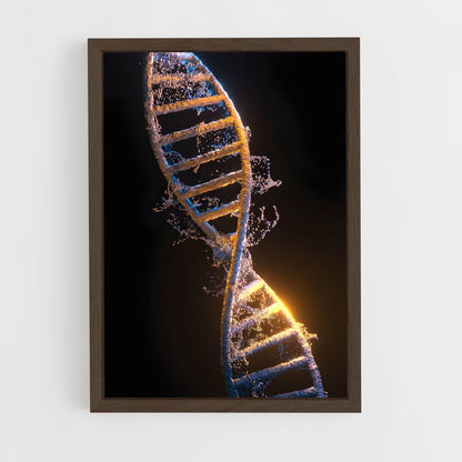 ap-dna structure-3 cadre Bois foncé