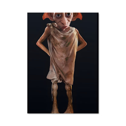 Poster Dobby le Félin