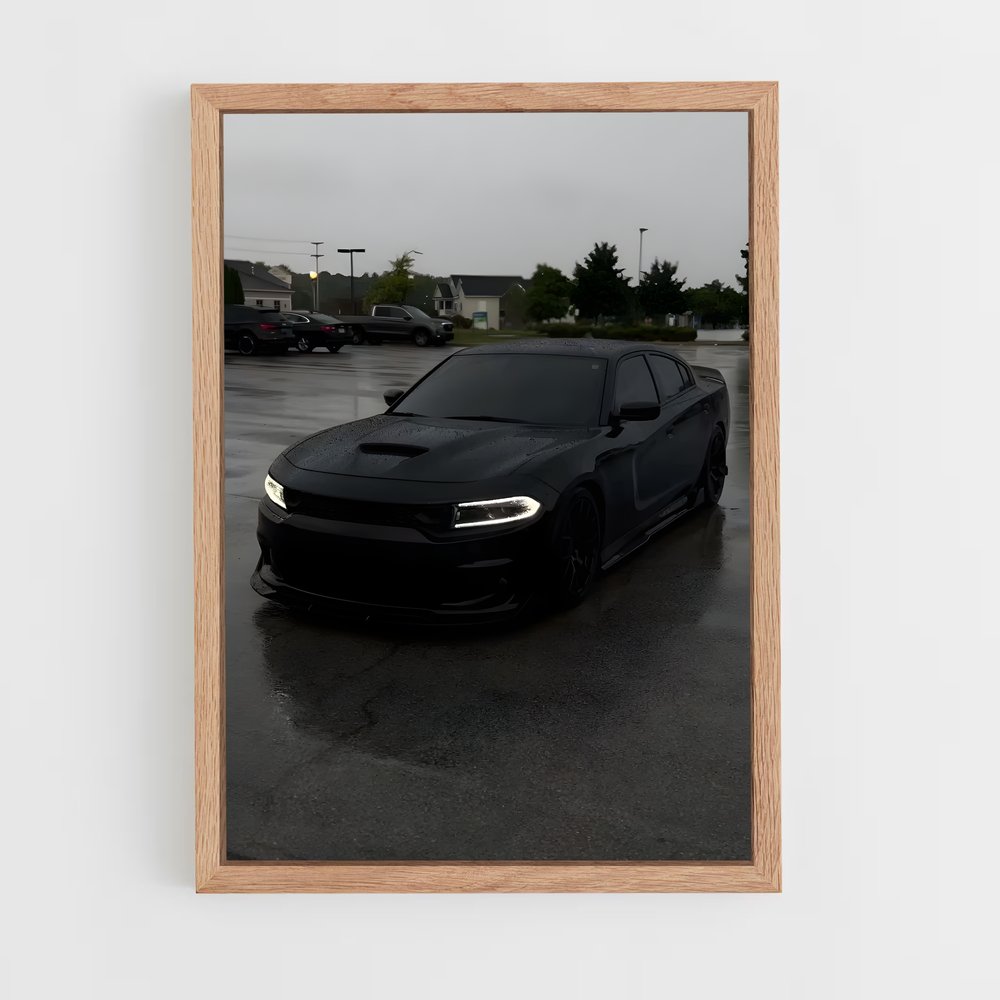 ap-dodge-3 cadre Bois clair
