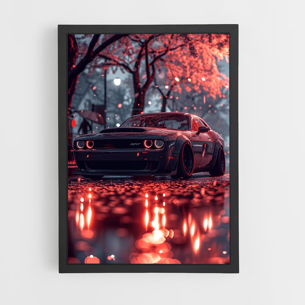 ap-dodge-7 cadre Noir