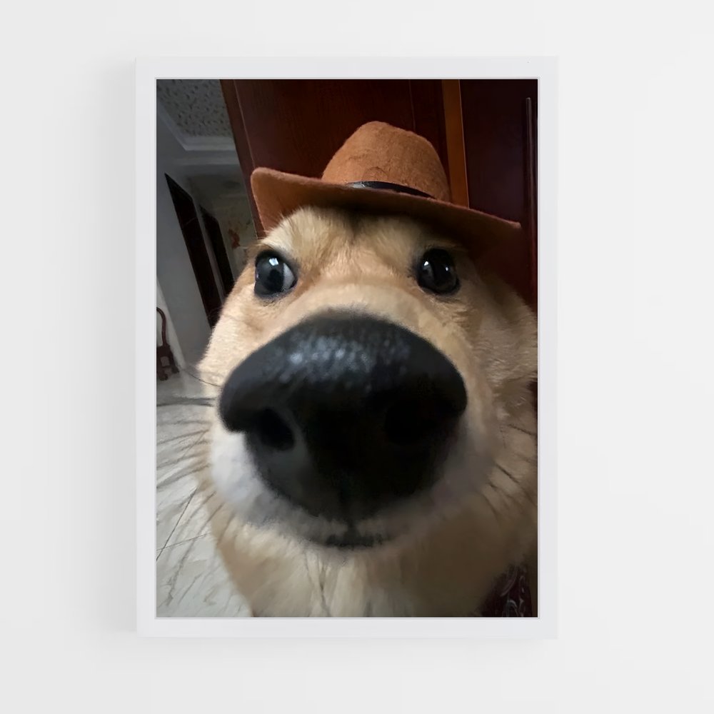ap-doge-10 cadre Blanc