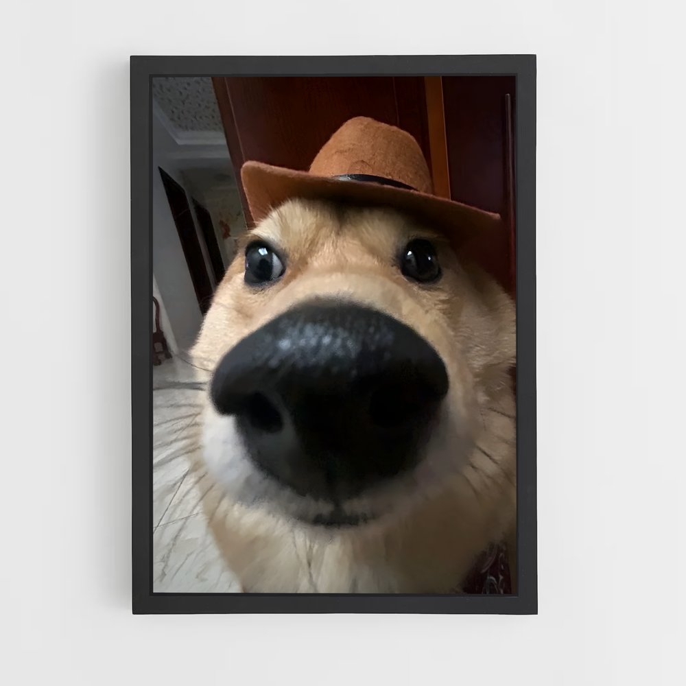 ap-doge-10 cadre Noir