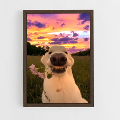ap-doge-5 cadre Bois foncé