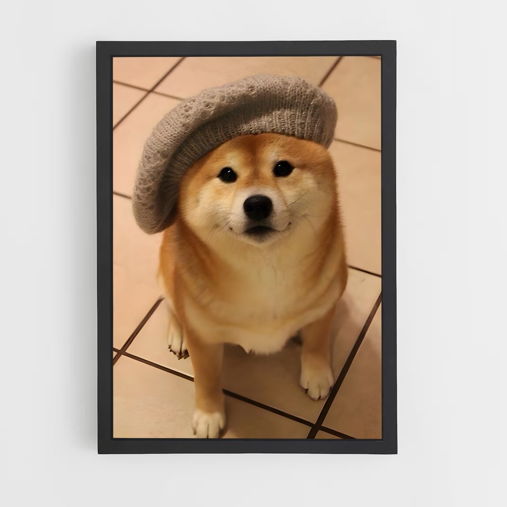 ap-doge-8 cadre Noir