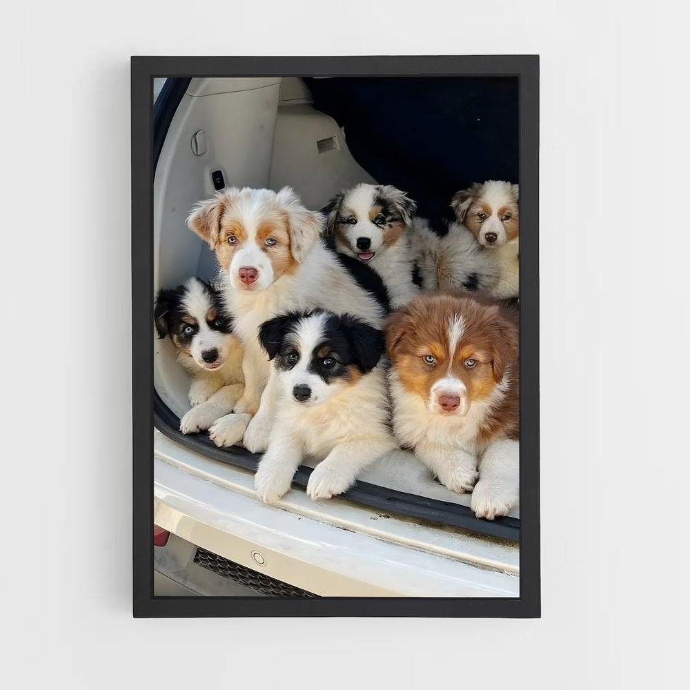 ap-dogs-2 cadre Noir
