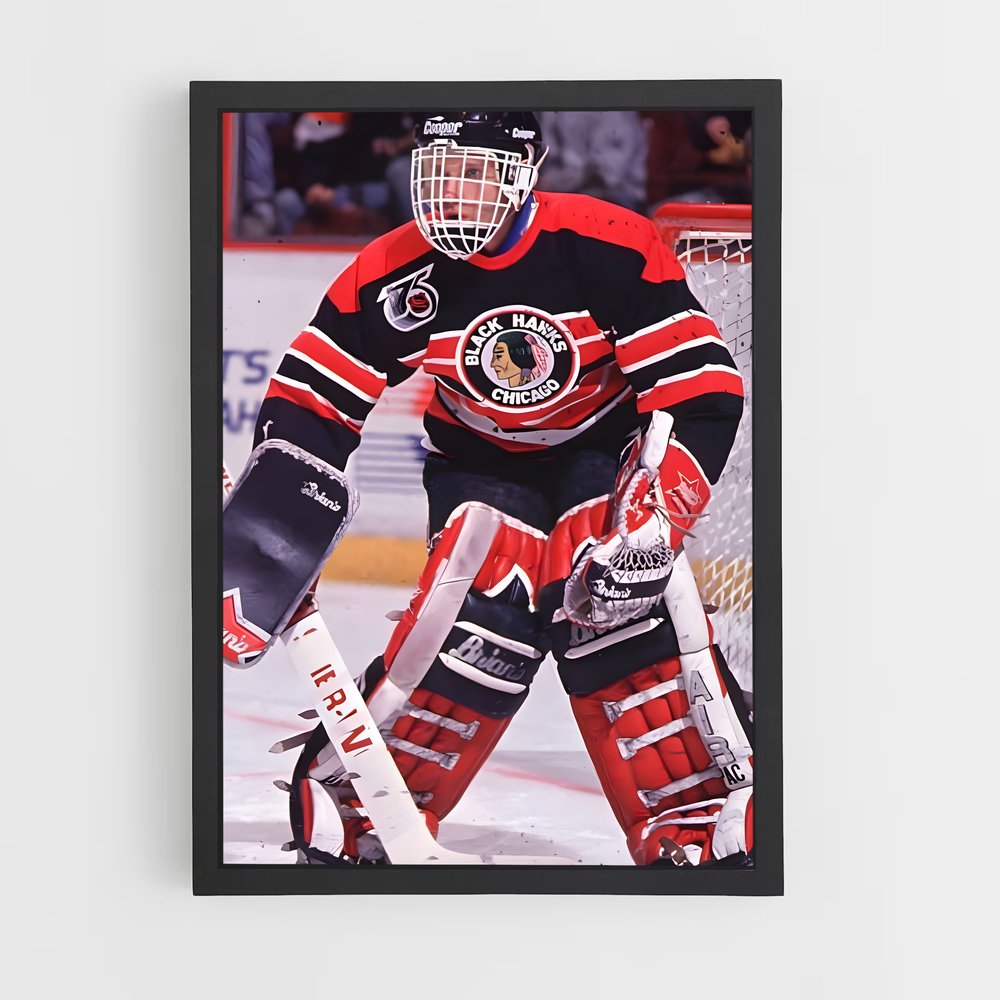 ap-dominik hasek-2 cadre Noir