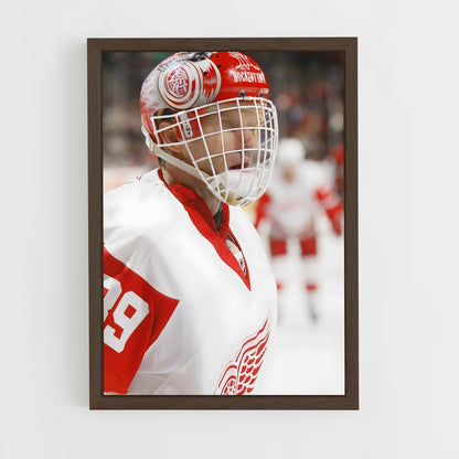 ap-dominik hasek-8 cadre Bois foncé