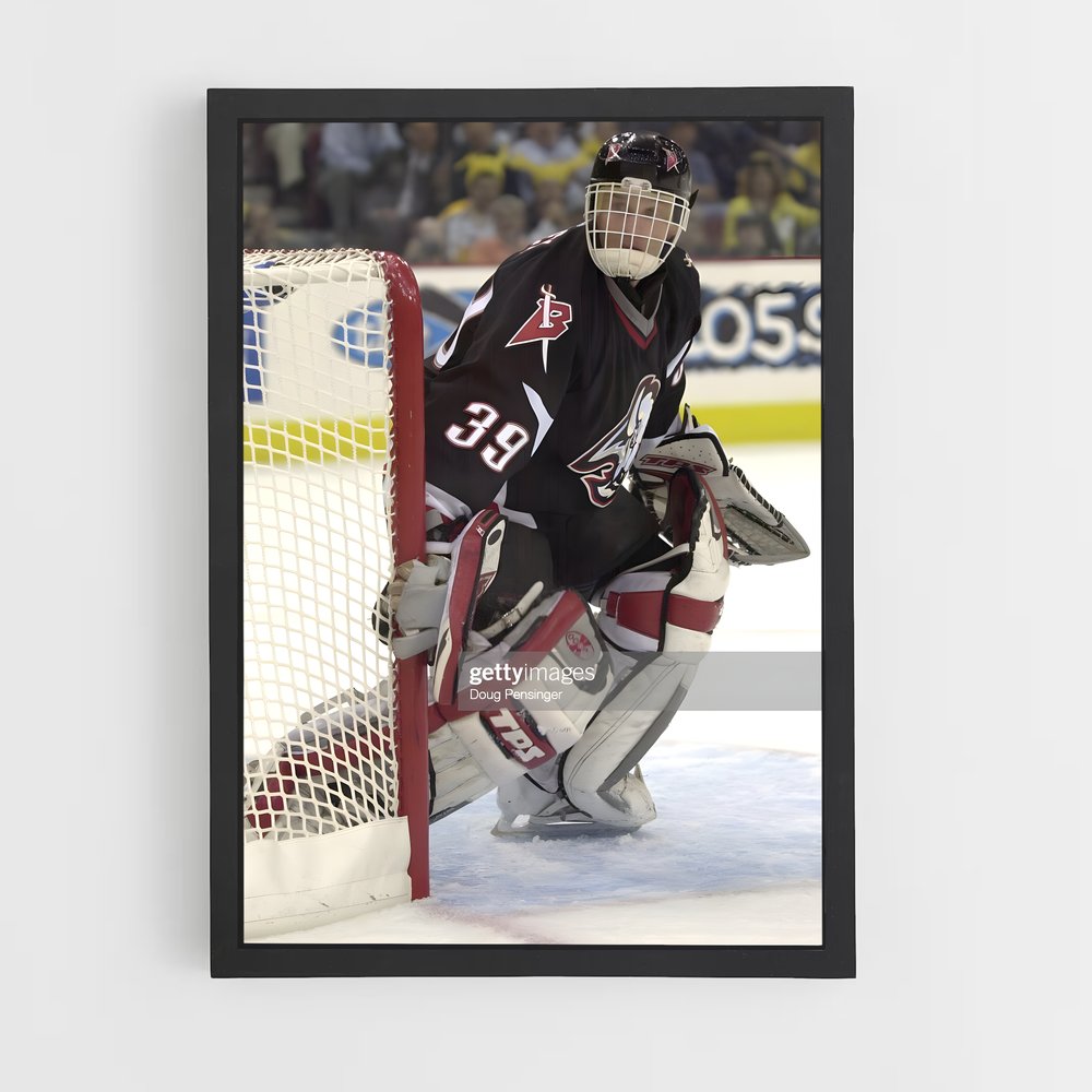 ap-dominik hasek-9 cadre Noir