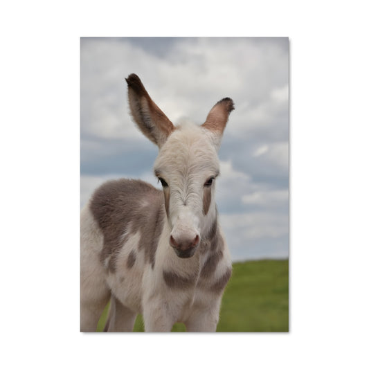 Poster Petit Bouc Joyeux
