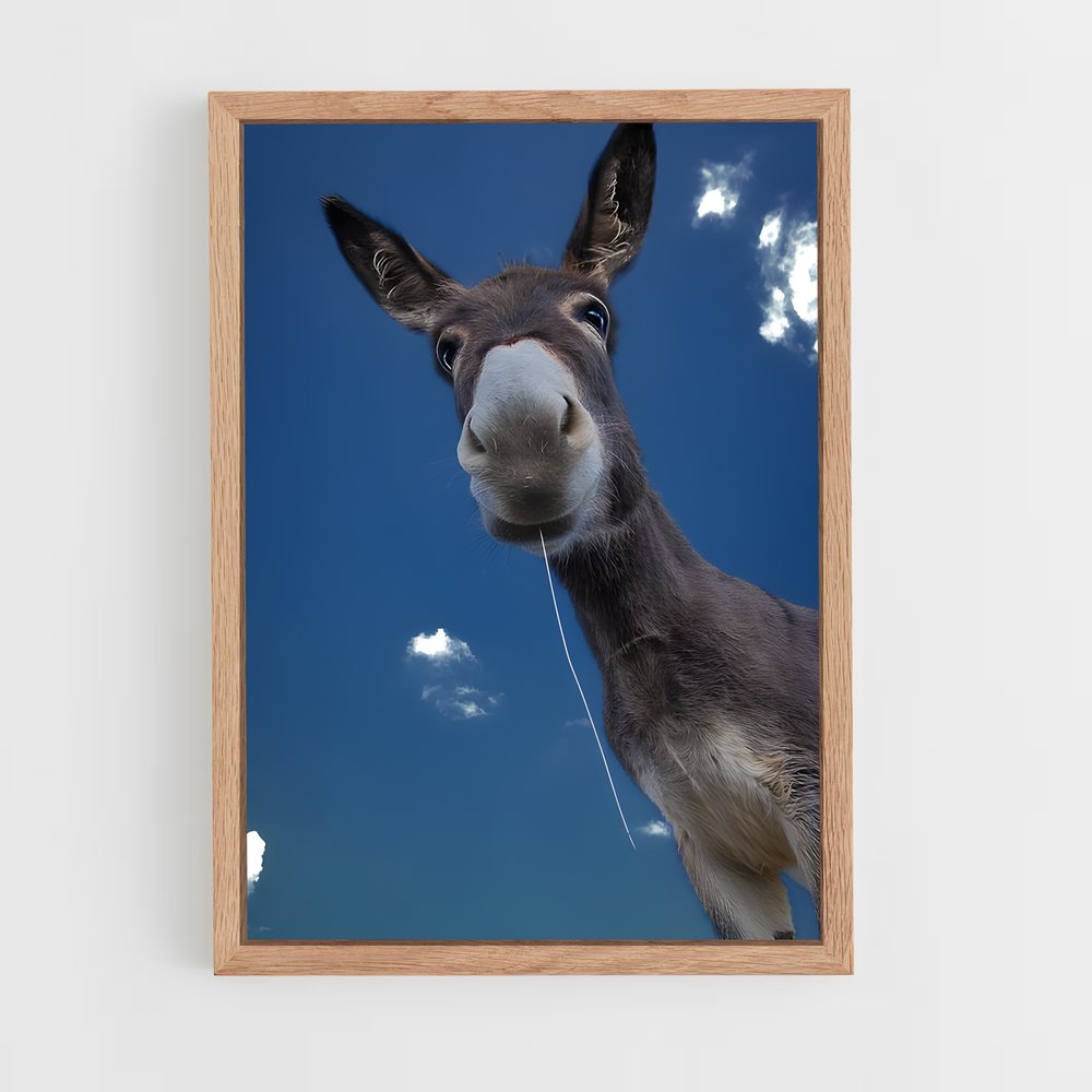 ap-donkey-15 cadre Bois clair