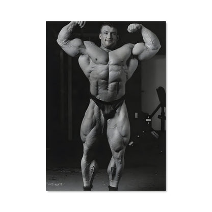 Poster Muscle Legend