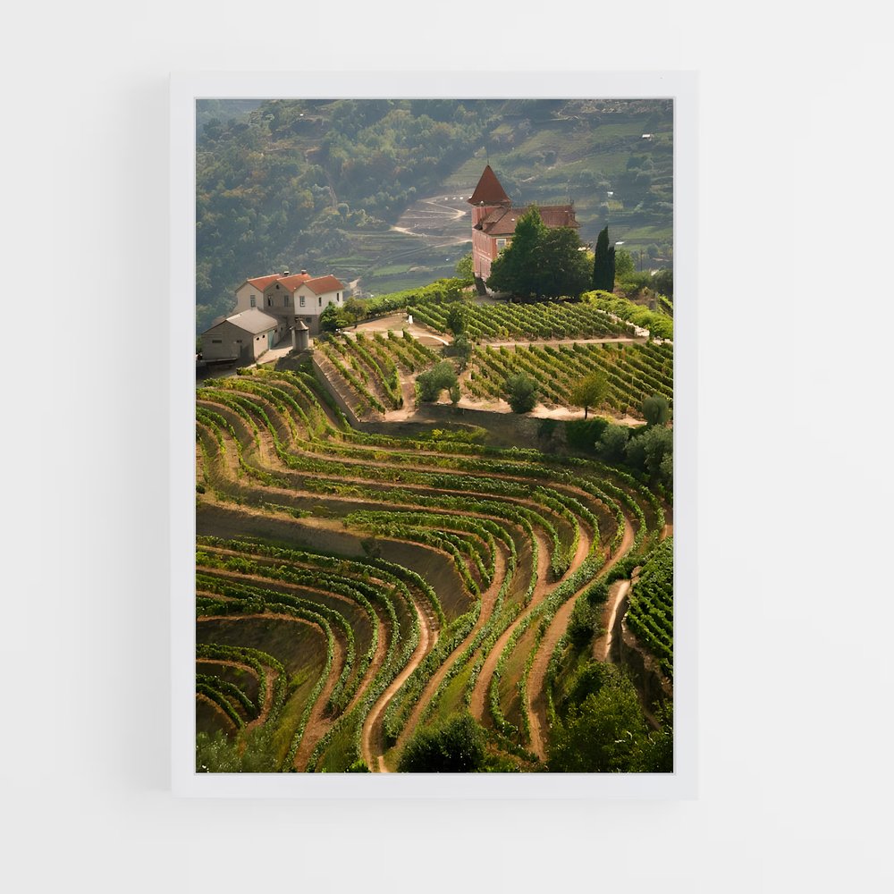 ap-douro valley-1 cadre Blanc