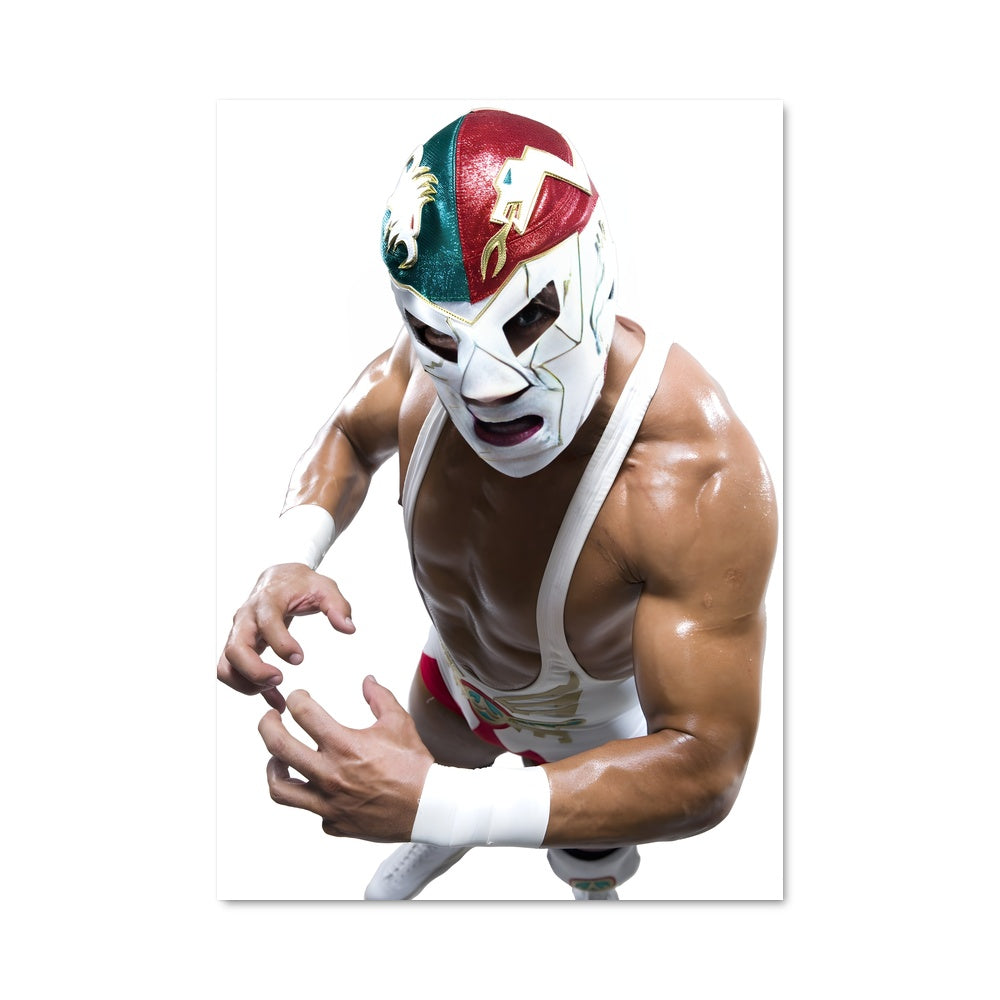 Poster El Luchador Verde