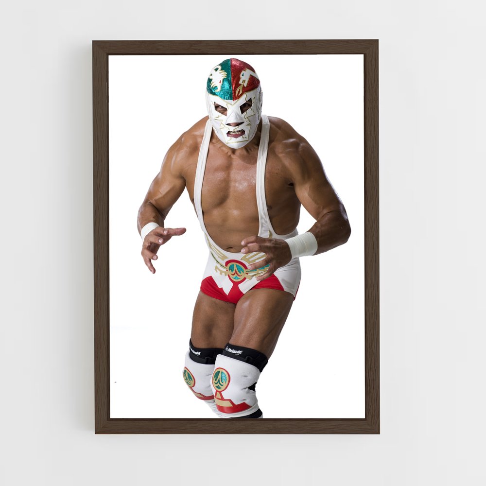ap-dr wagner jr-9 cadre Bois foncé