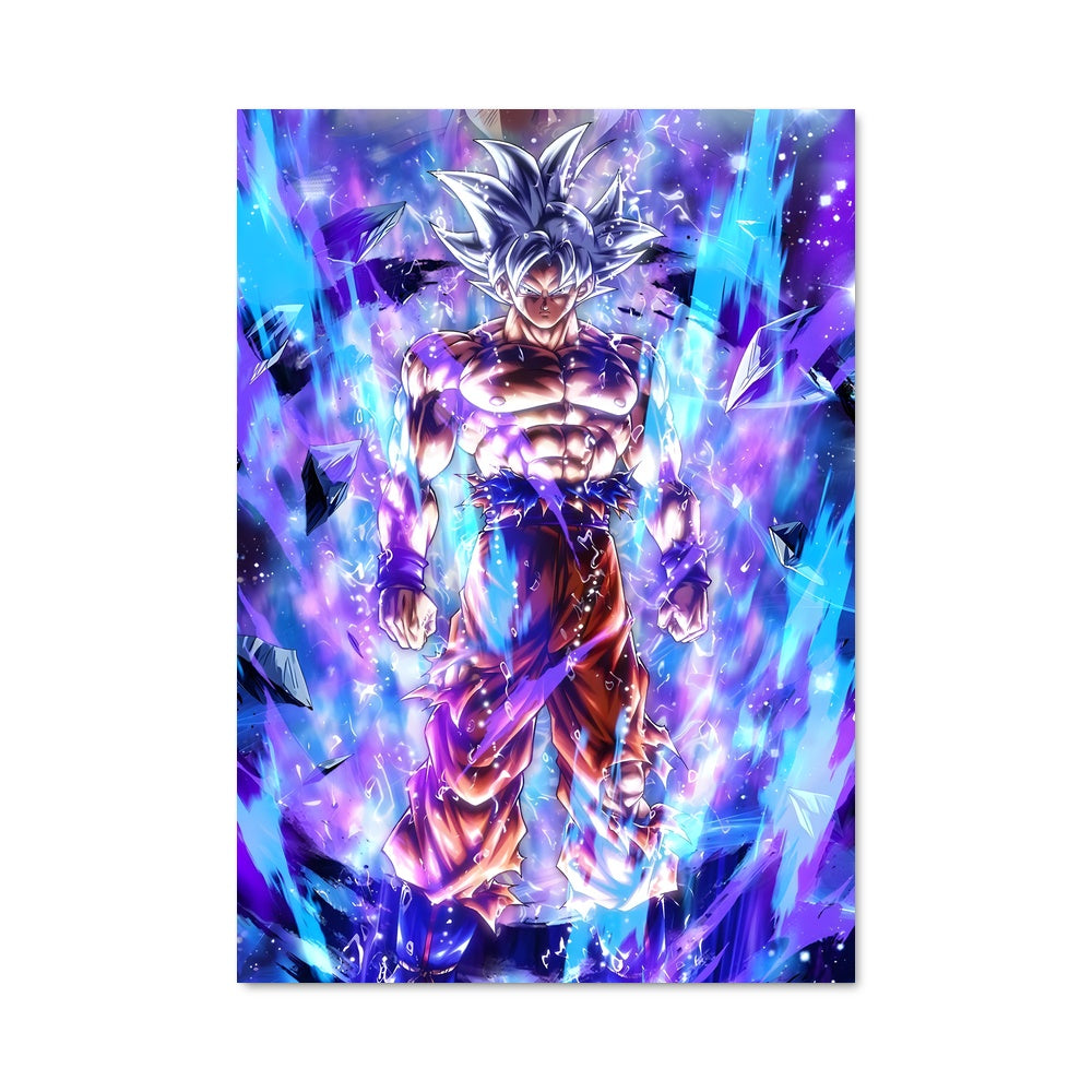 Poster Dragon Ball Zoro Battle