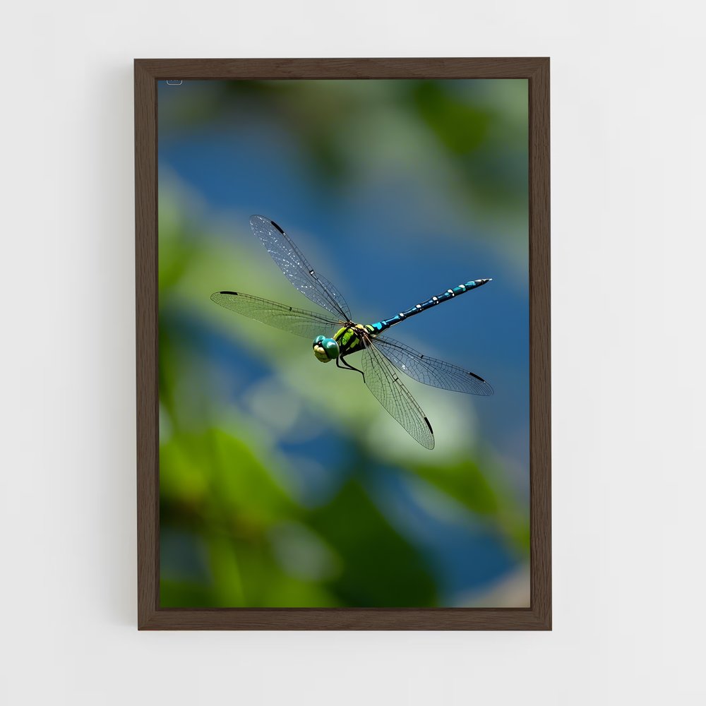 ap-dragonfly-8 cadre Bois foncé