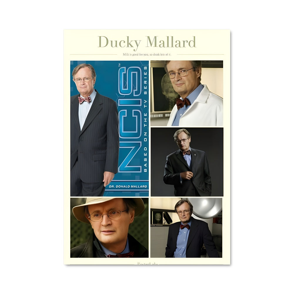 Poster Ducky mallard 37969