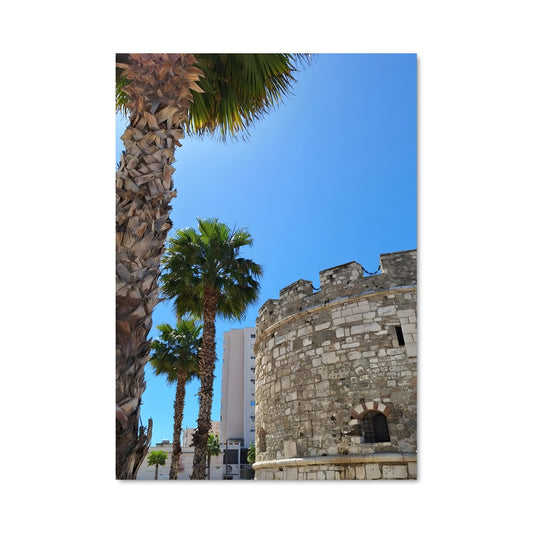 Poster Palmiers et Pierres