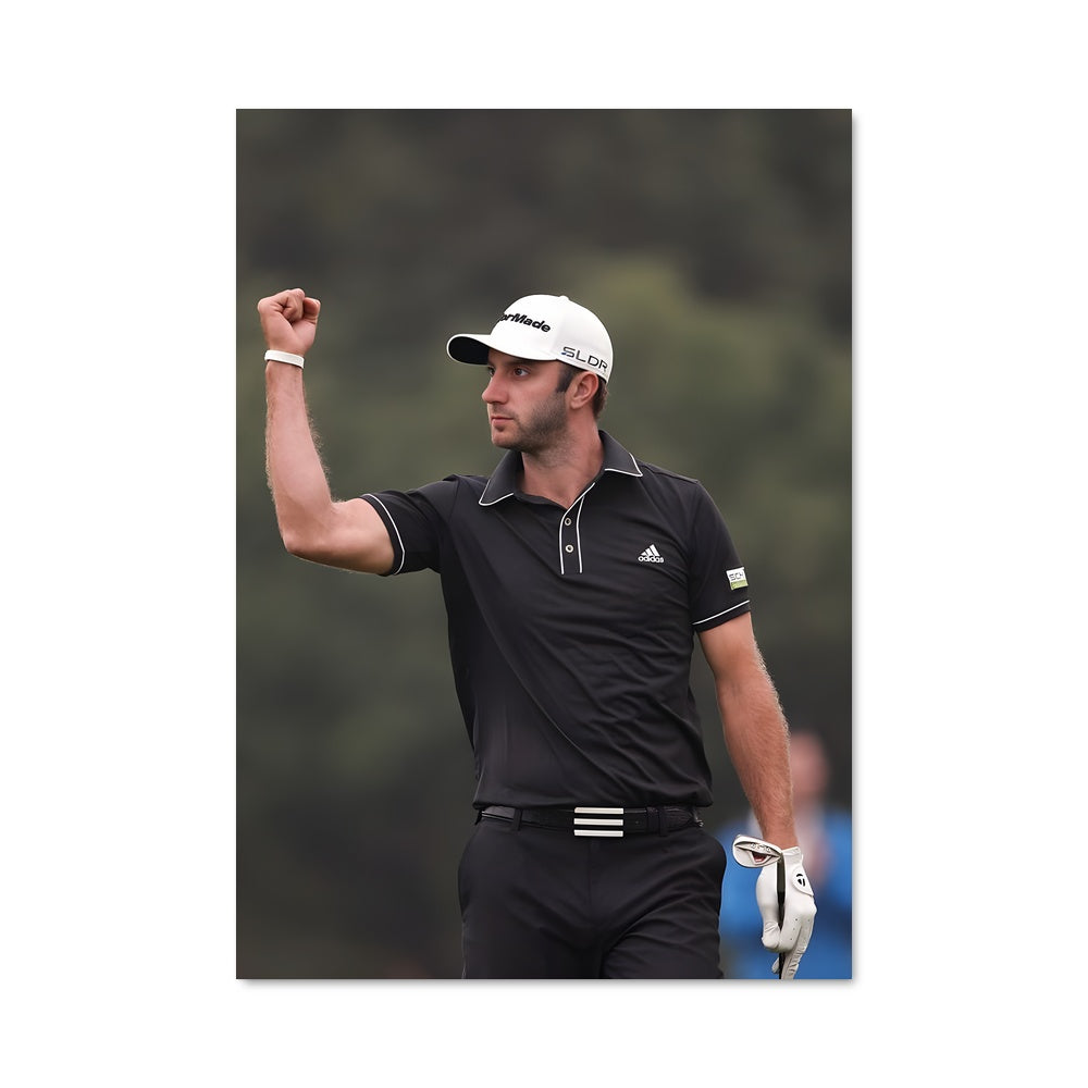 Poster Dustin johnson 66208
