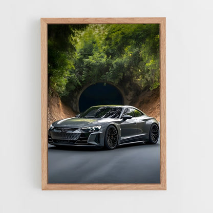 ap-e-tron gt-1 cadre Bois clair