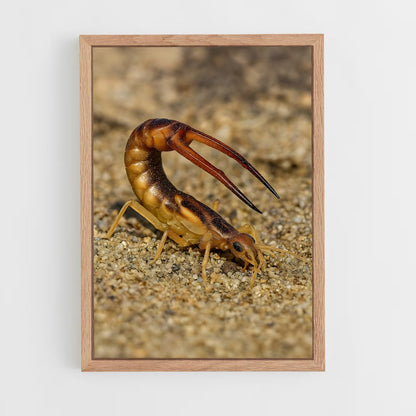 ap-earwig-2 cadre Bois clair