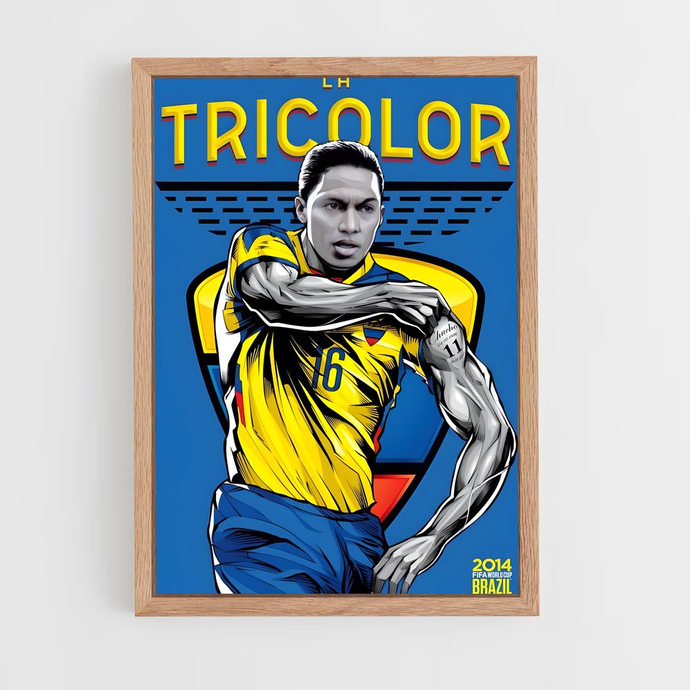 ap-ecuador national football team-3 cadre Bois clair