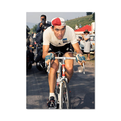 Poster Eddy merckx 65164