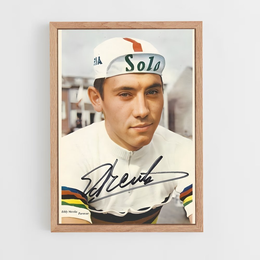ap-eddy merckx-1 cadre Bois clair