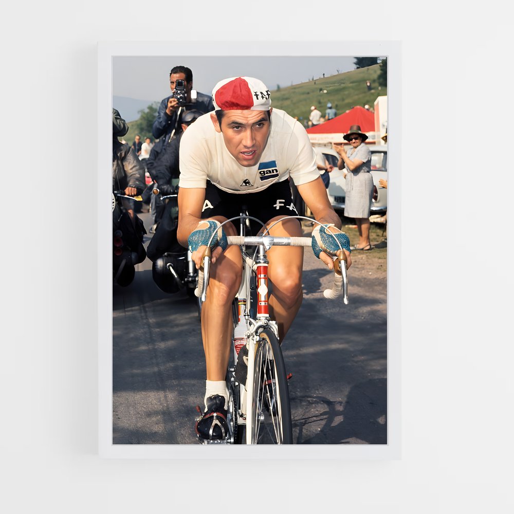 ap-eddy merckx-2 cadre Blanc